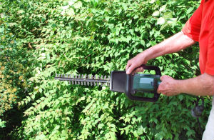 hedge-trimming-vauxhall